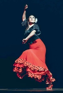 Flamenco de Pasión: Eventos inesquecíveis . Outros. Arroios